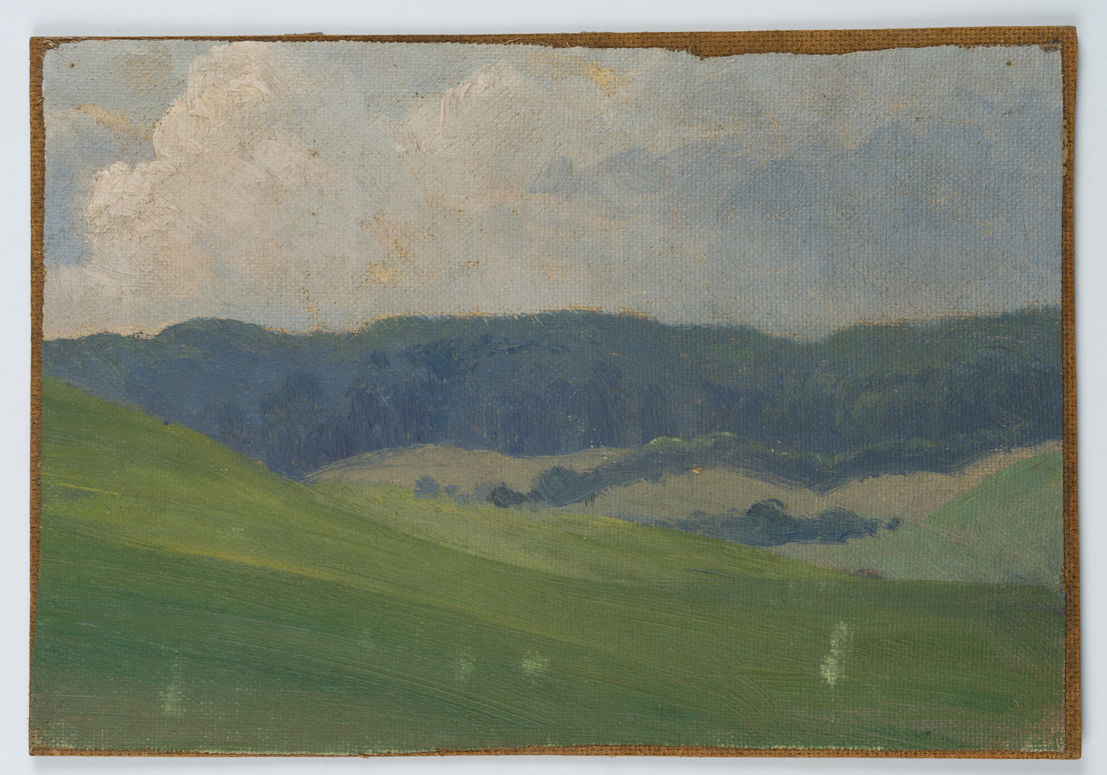 Olga POTTHAST, Weiche hügelige Wiesen- und Waldlandschaft, um 1900, Öl